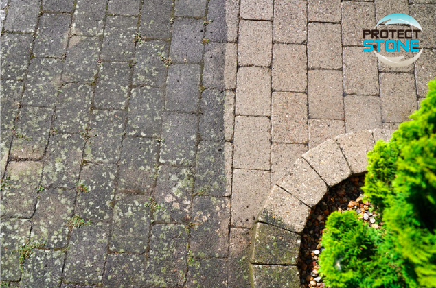 DETER STONE – Nettoyant décapant acide à base aqueuse pour pierres, terres cuites et grès. Élimine voiles de ciment, laitances, efflorescences et salissures de fin de chantier. Usage intérieur et extérieur.